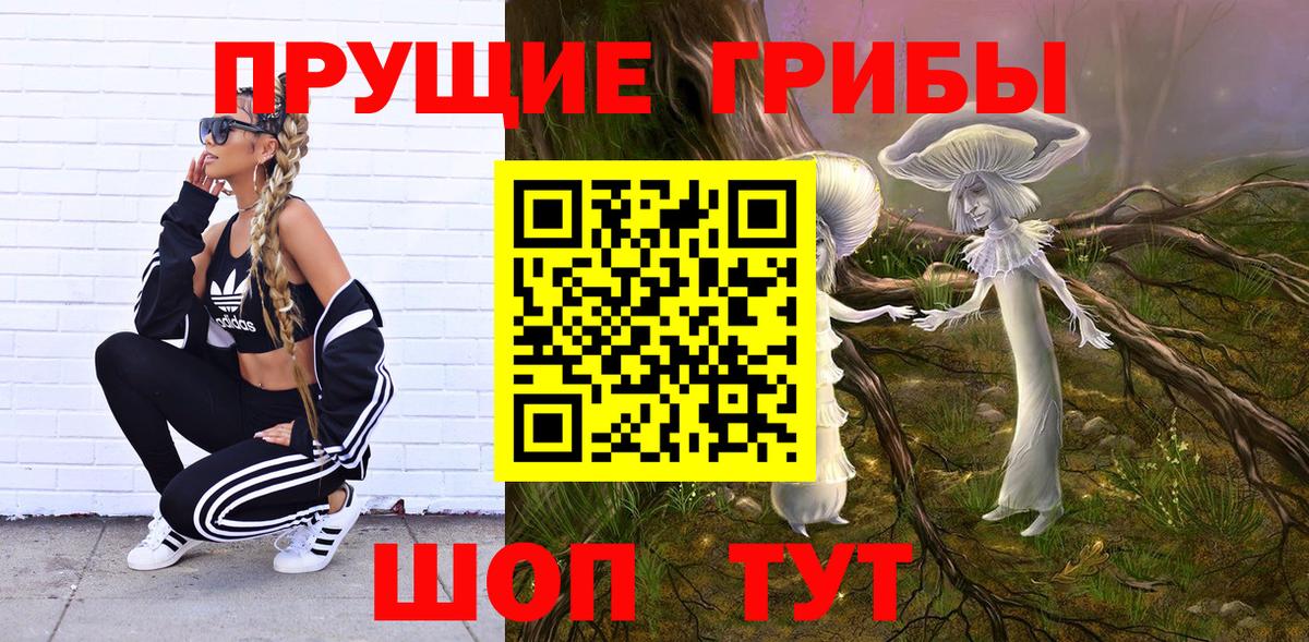 Новосибирск  Псилоцибиновые грибы GOLDEN TEACHER  Вход с VPN 