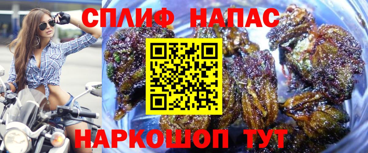 Марихуана семена  Канабис ГИДРОПОН  Новосибирск  Конопля конопля  Вход с VPN 